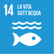 14 - La vita sott'acqua