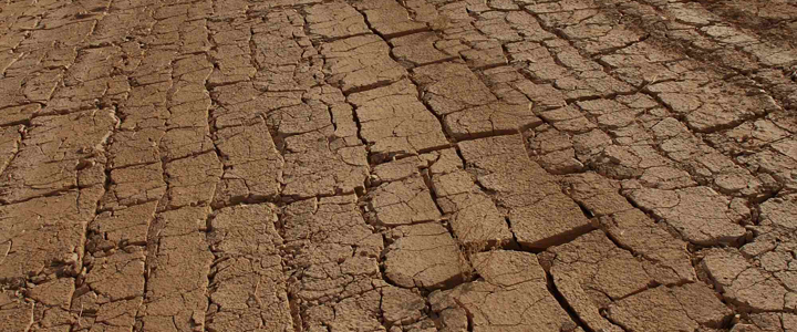paesaggi-niger-2